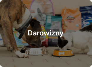 darowizny-box-bg